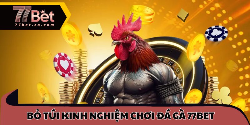 Bỏ túi kinh nghiệm chơi đá gà 77BET