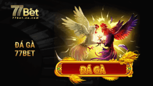 Đá gà 77BET