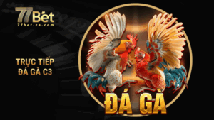 trực tiếp đá gà c3