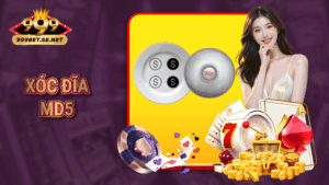 Xóc đĩa MD5